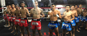 Buy Premium Muay Thai Boxing Shorts for Men and Women