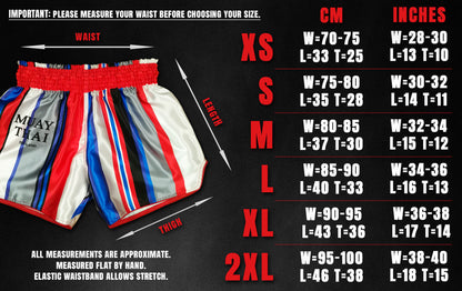 European size chart for Beautiful Violence Thai boxing shorts, sizes XS to 2XL with waist, length and thigh measurements in cm and inch

