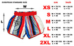 Muay Thai Shorts Beautiful Violence