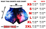 Muay Thai Shorts Universe Galaxy