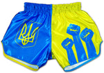 stand with ukraine fight shorts