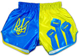 stand with ukraine fight shorts
