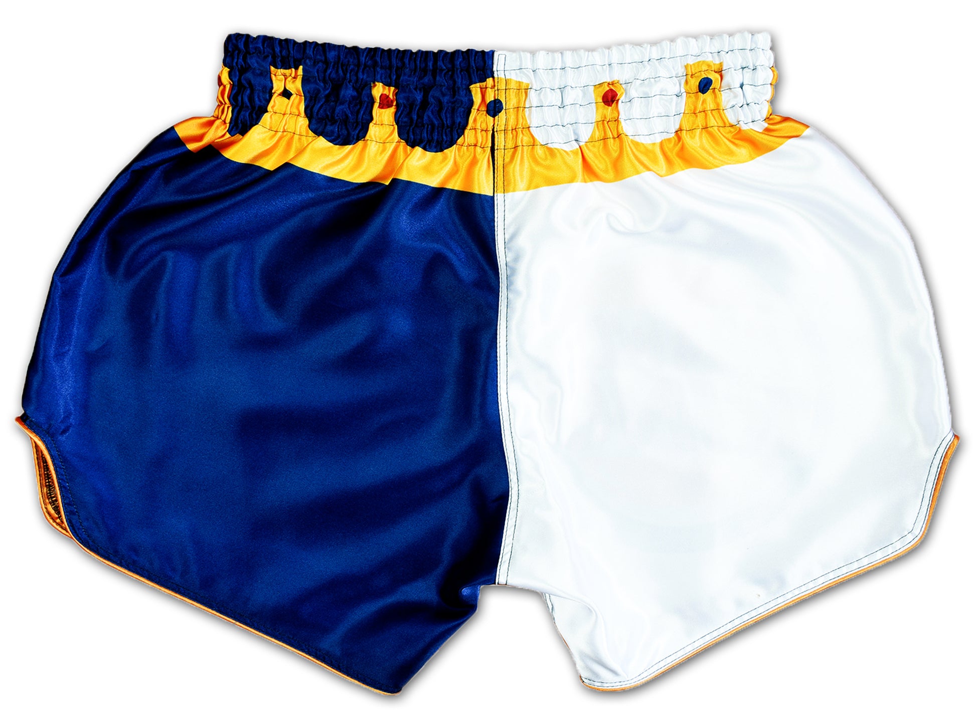 Back view of Brawler King Muay Thai Shorts with blue and white split color design