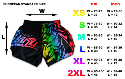 LGBTQ+ Muay Thai Boxing Shorts rainbow size chart showing European standard sizes XS to 2XL in cm and inch