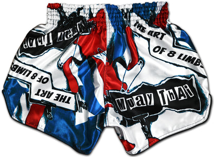 Patriot Muay Thai Shorts back view showing red white and blue patriot design with Art of 8 Limbs lettering